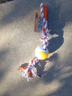 Dog Rope Toy with Tennis Ball