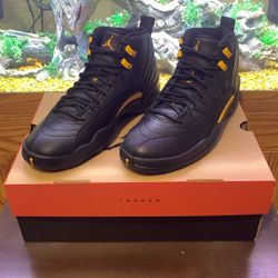 Jordan Retro 12