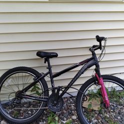 Bicycle 
