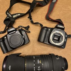 Sigma Lens & Canon Cameras 