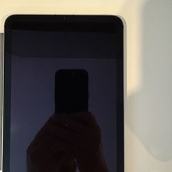 iPad mini 6 Space Gray WiFi + Cellular 256GB