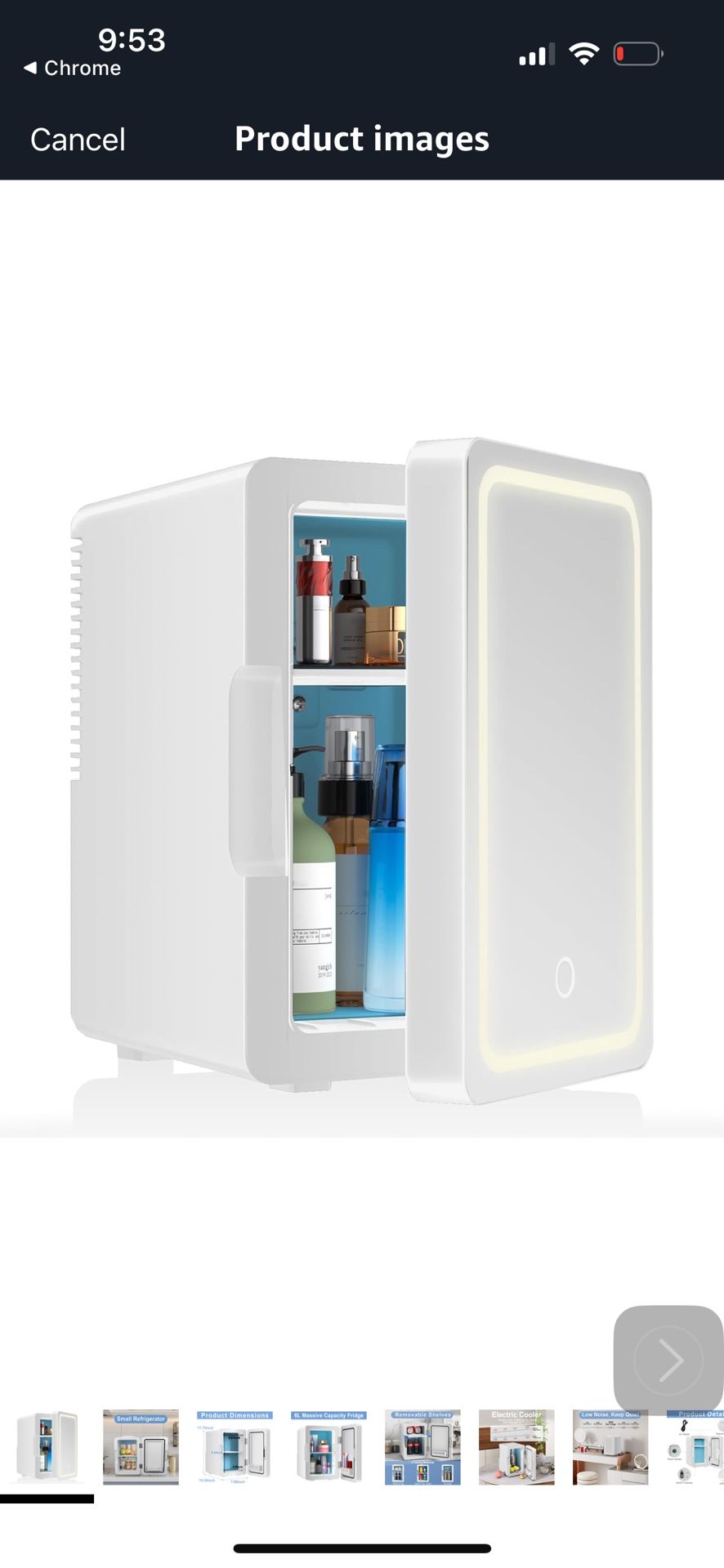 Ecowell Mini Fridge