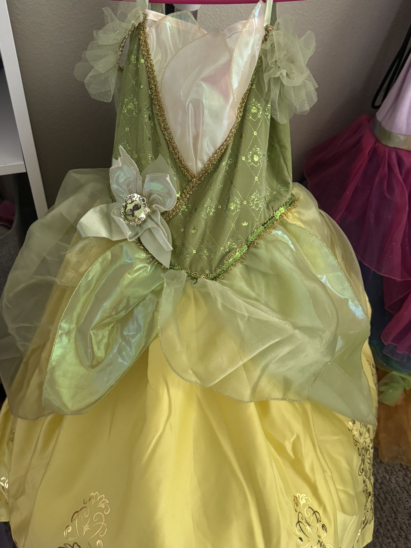 Princess Tiana Costume