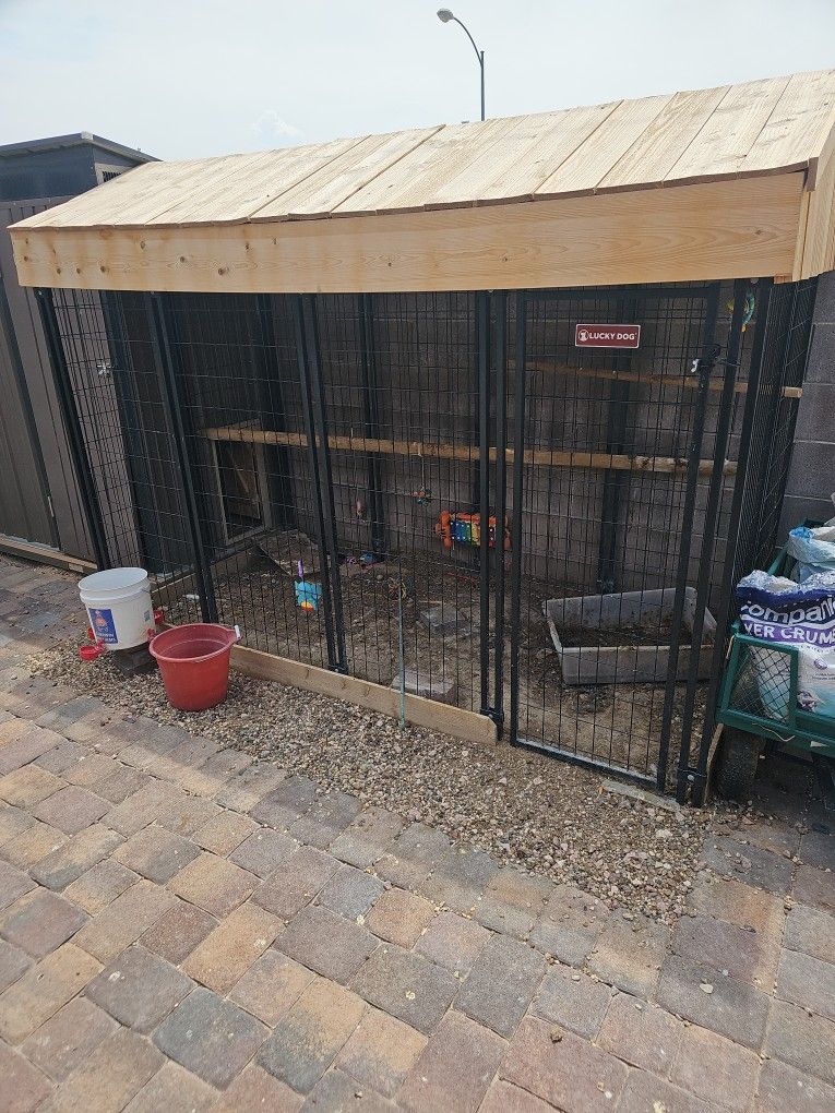 Chicken Coup And Run