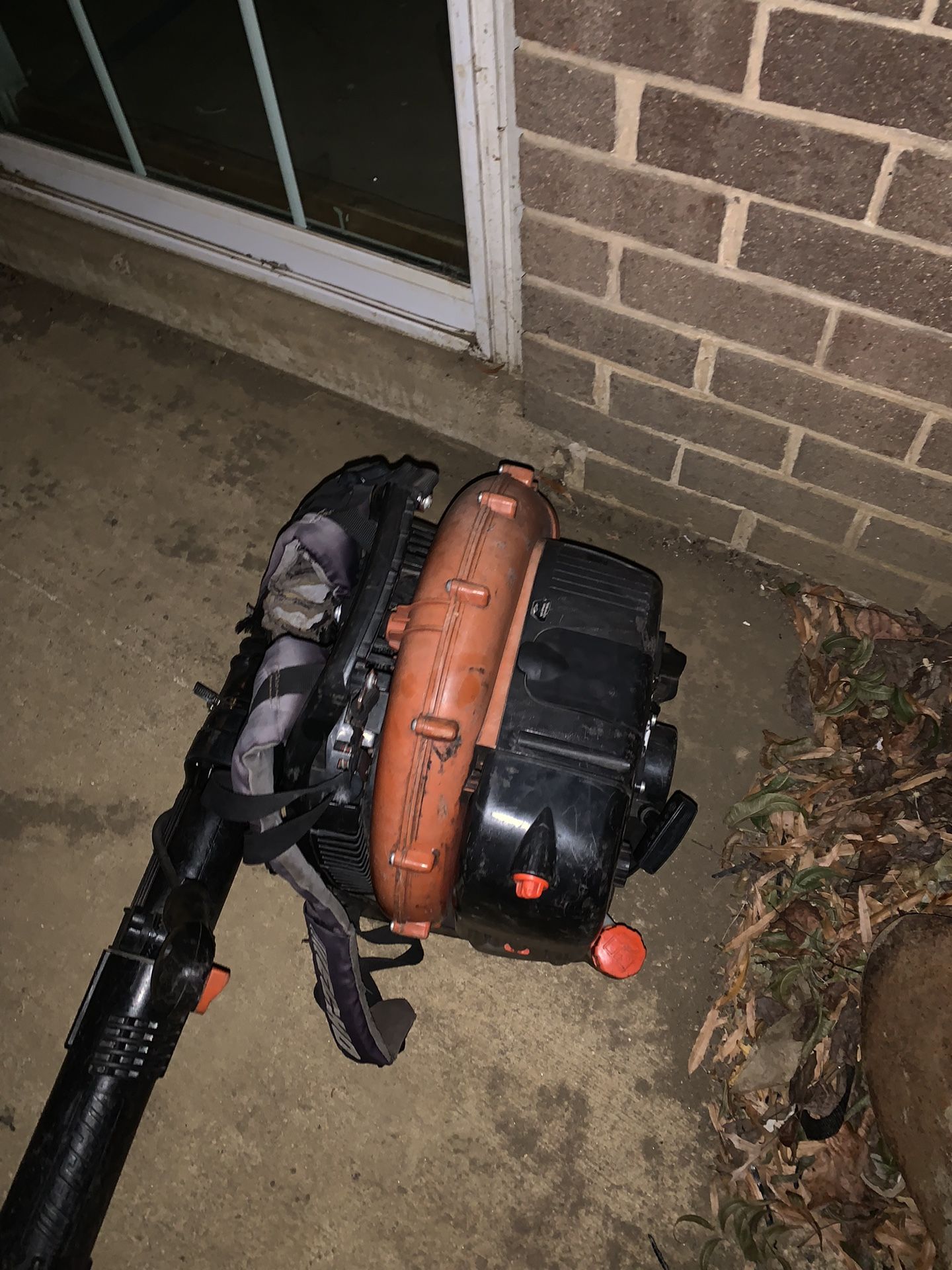 Echo Power Leaf Blower 