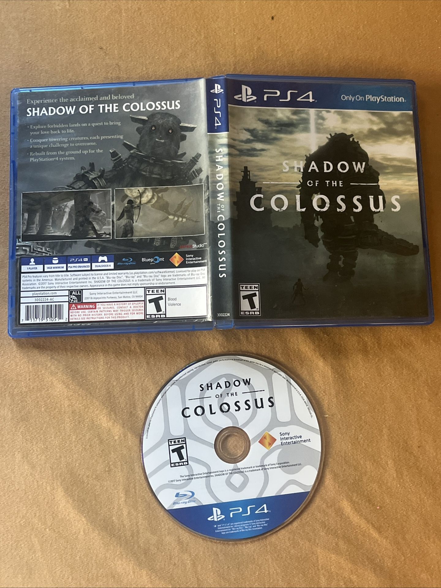 Shadow of the Colossus - PS4 PlayStation 4