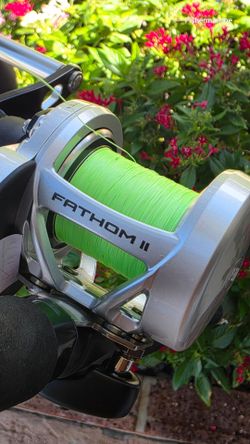 Fathom 15..2 speed/Braid/New Rod