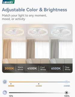 20"Ceiling fan with light
