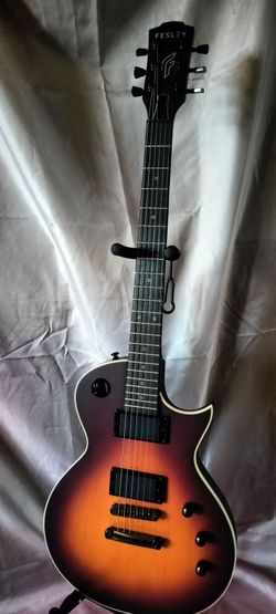 New Fesley FLP 350 electric guitar with new gig bag