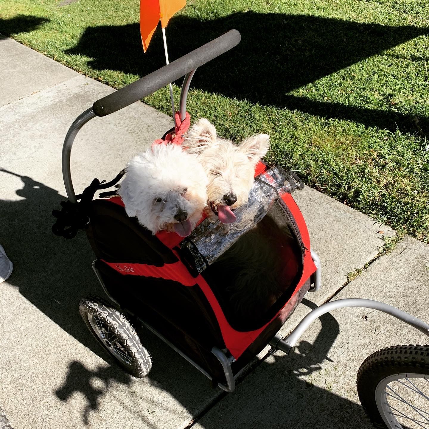 Doggy Ride Bike Trailer/Stroller