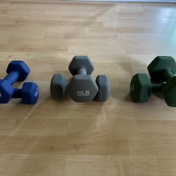 Free Weights - 20/15/10 Lbs