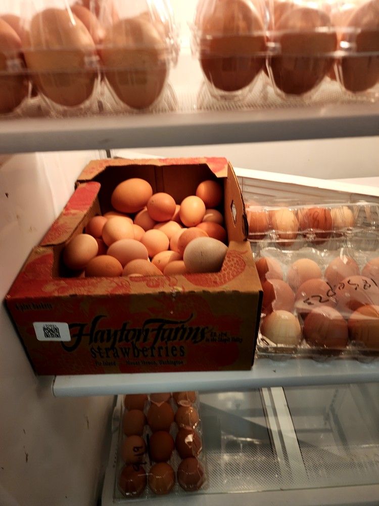 Farm Fresh Eggs