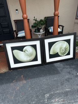 2 Large Framed Picture Sea Shell Art 