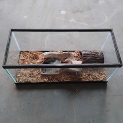Turtle House