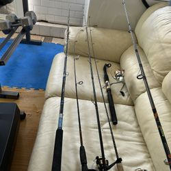 Fishing Pools And Reels 6 Total