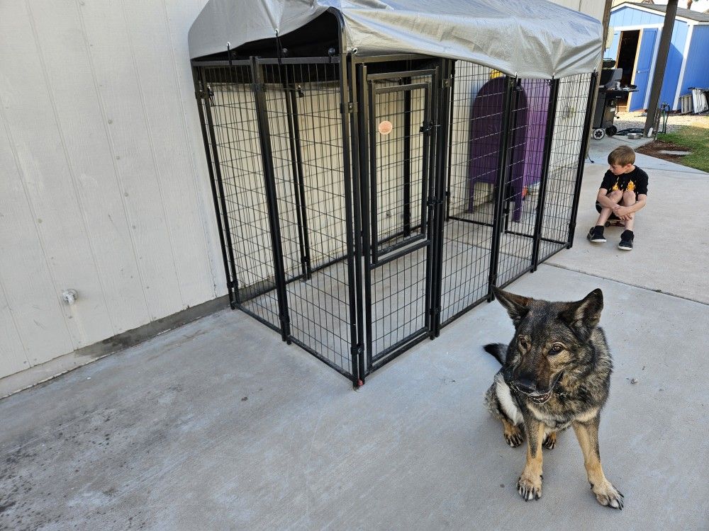 Dog Kennal