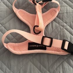 Pet harness