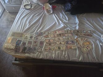Celebrity money & Graded sports cards