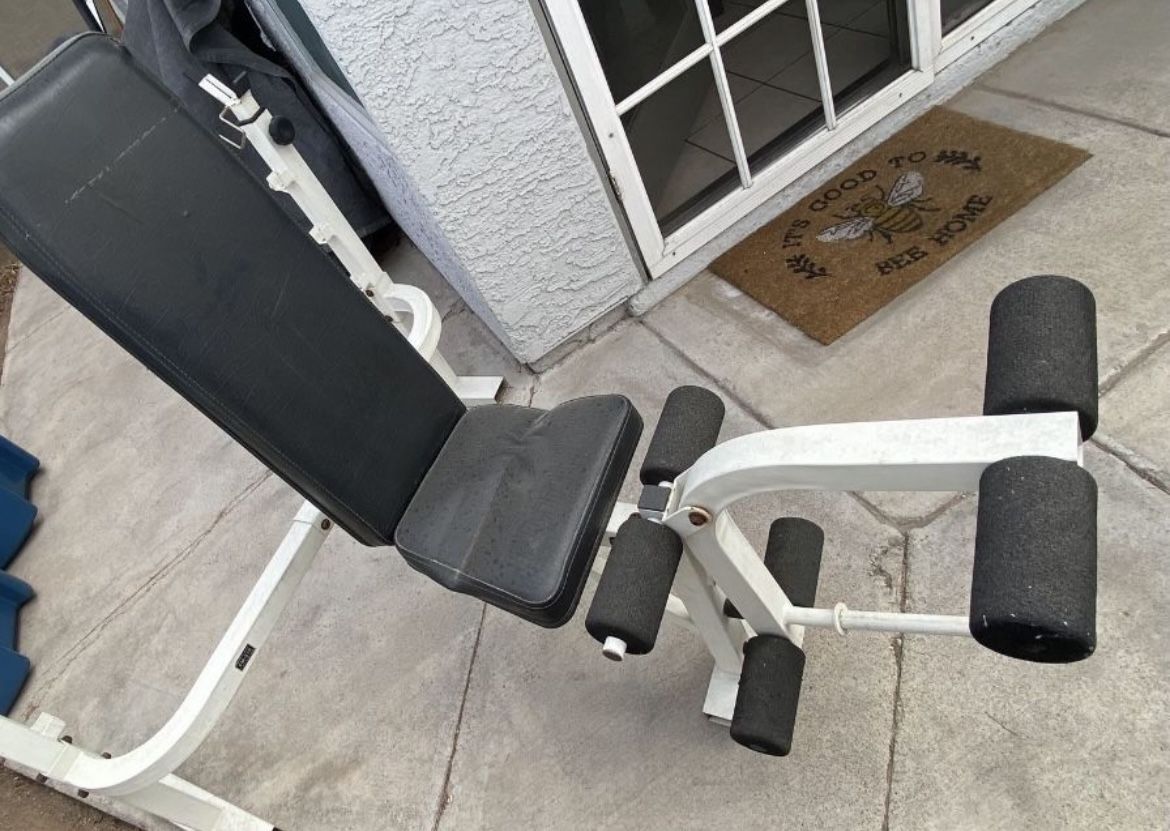 Olympic Weight Bench Press Leg Press