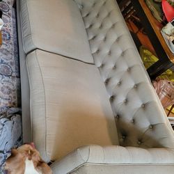 Smaller Cute  Grey Couch