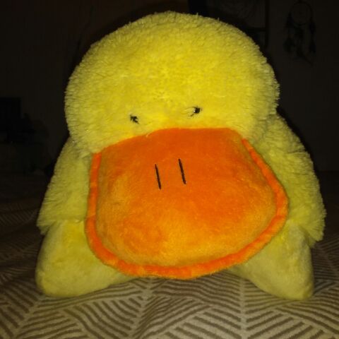 Duck Pillow Pet
