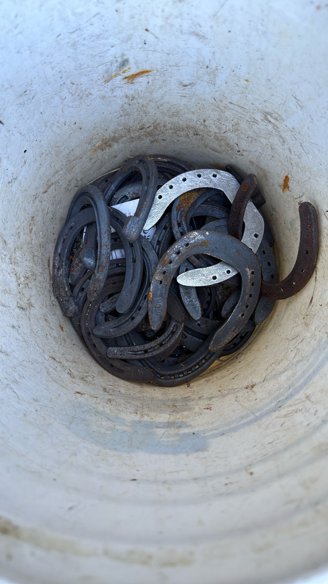 Bucket Of Horse Shoes