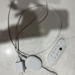 Google Chrome cast 