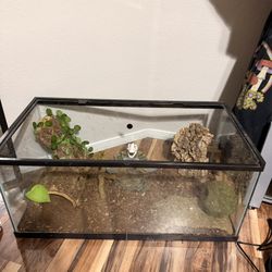 Reptile Tank
