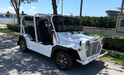 2019 Moke
