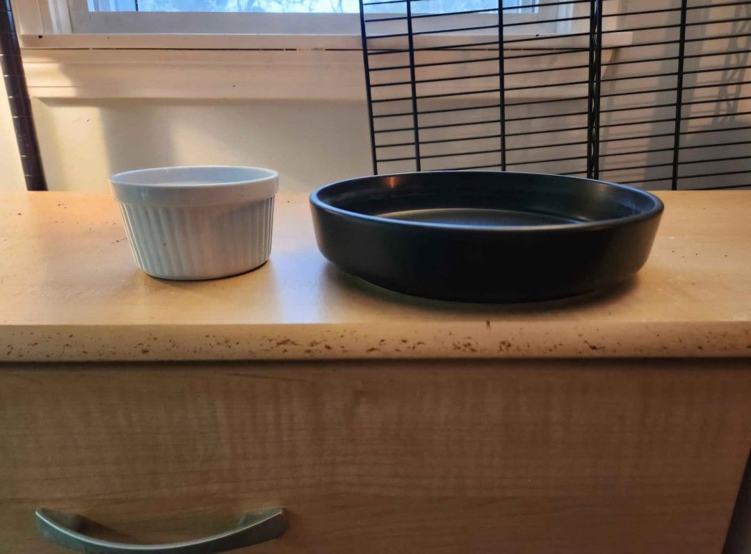 Ceramic Bowls