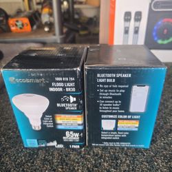 Flood Light Indoor-BR30