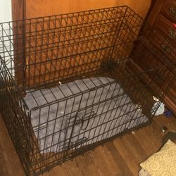 dog cage