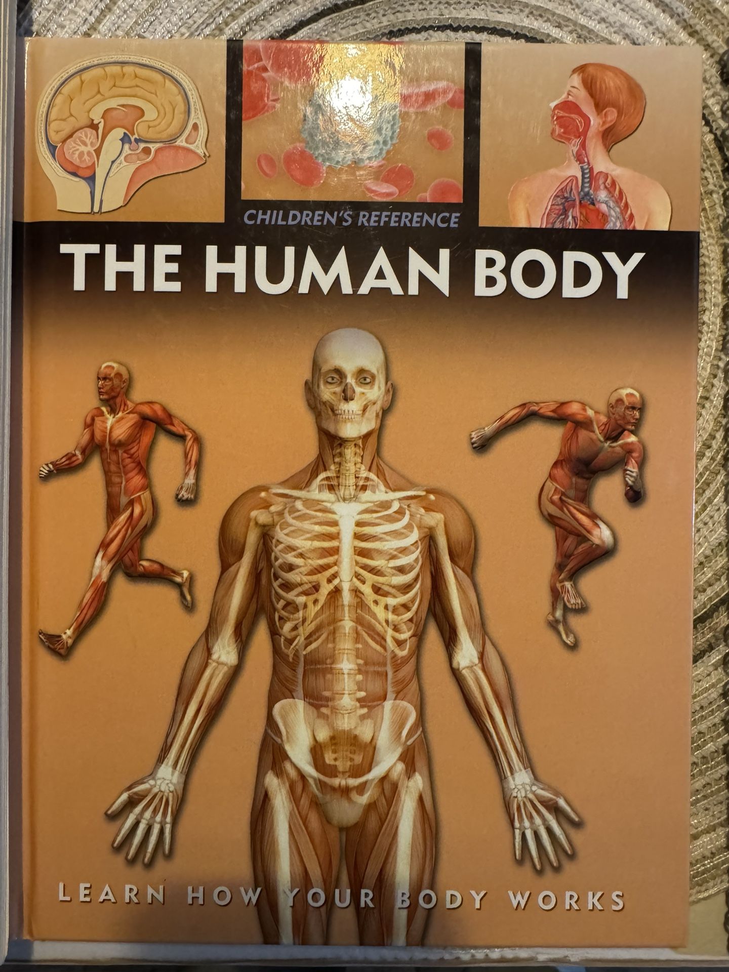 Anatomy Books Human Body Books
