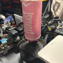 Selling EVERLAST Kickboxing bag for $200