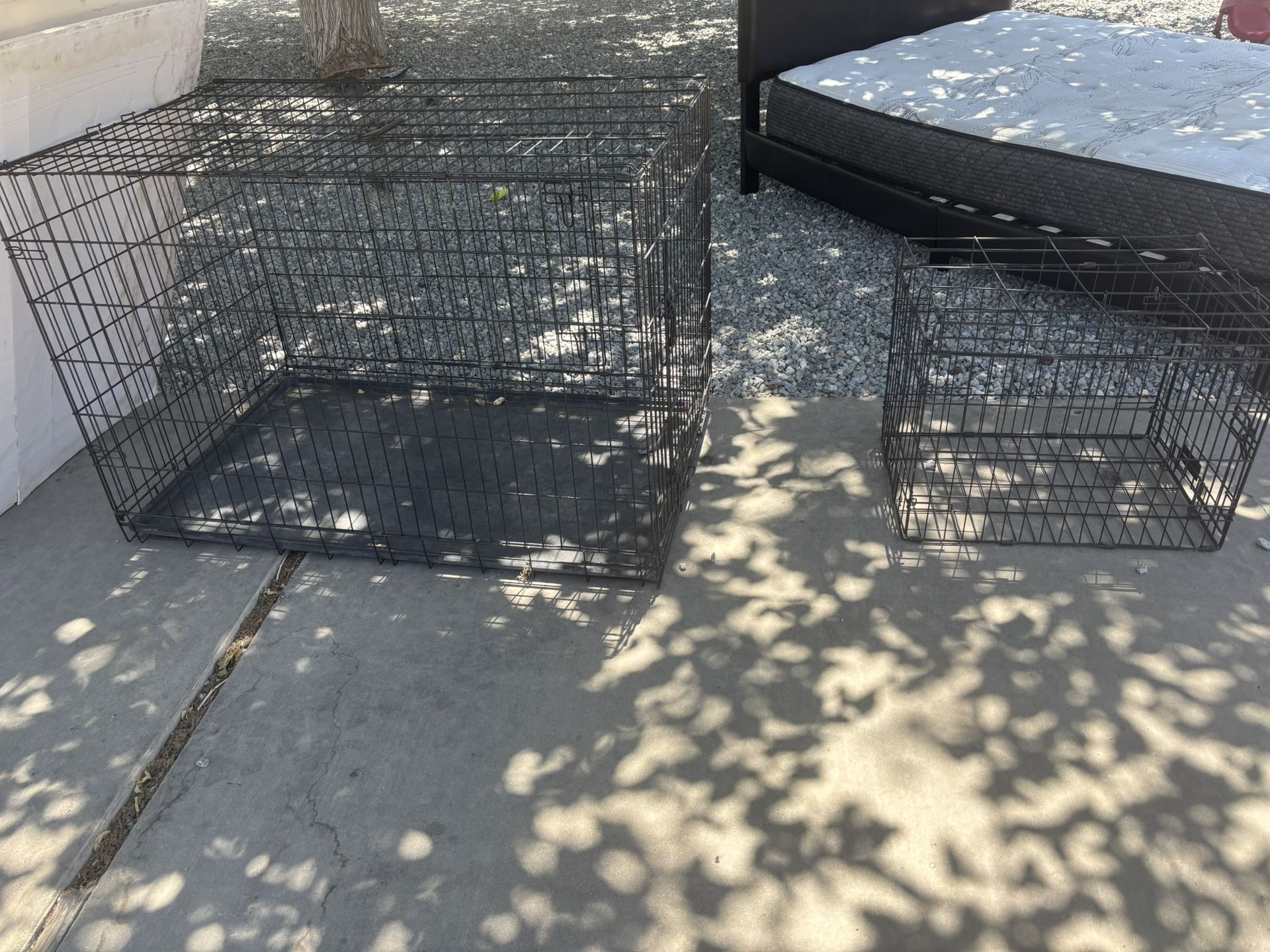 Dog Kennels