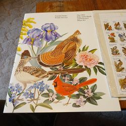 The 1982 50 State Birds And Flowers Mint Set