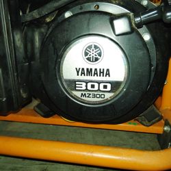 Bridget Generator