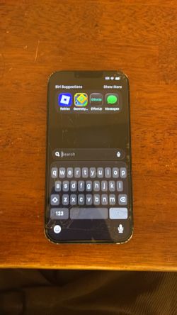 iPhone 13