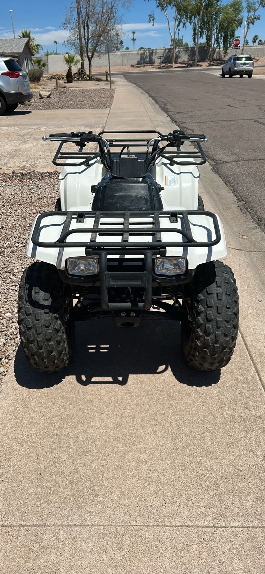 2009 Kawasaki KLF 250 A (bayou 250)