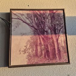 Wall Picture Print Decor $8