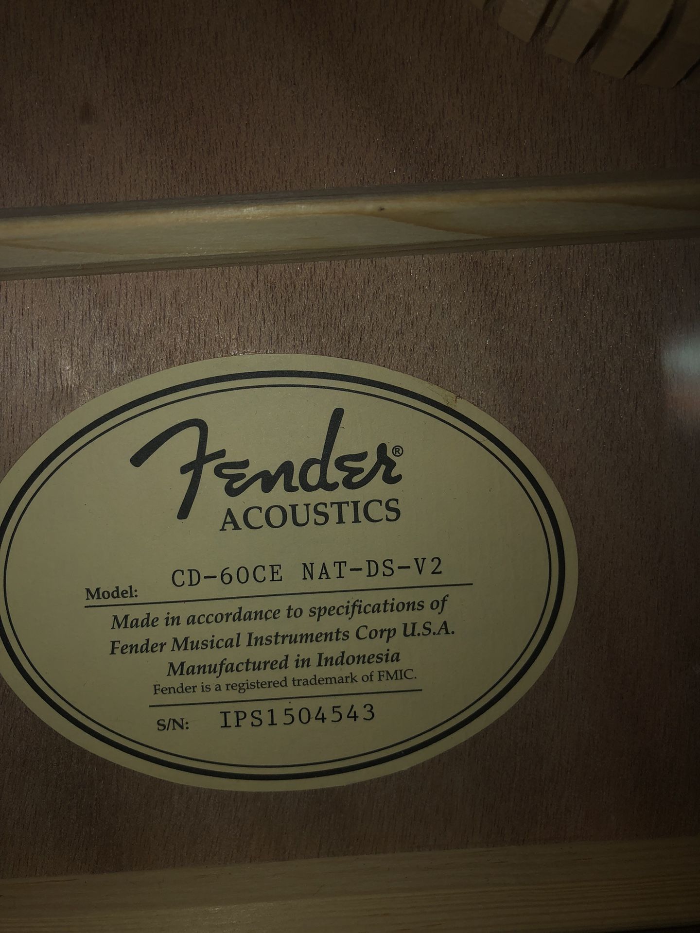 Fender Acoustic Electric Guitar