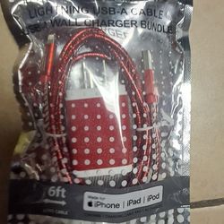 IPHONE IPAD IPOD CHARGER 