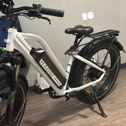 Haoqi S-1000 E-bike