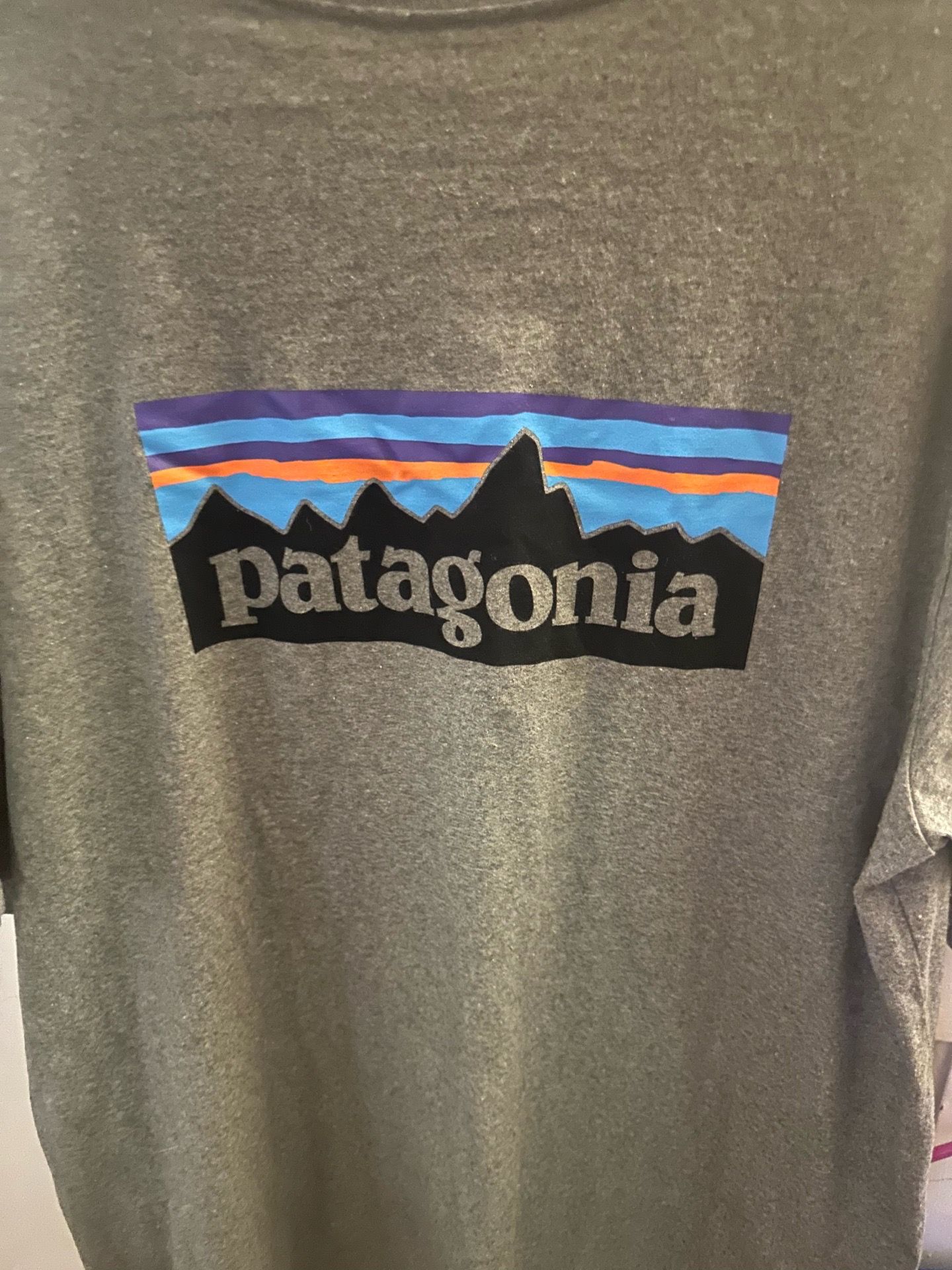 Patagonia T shirt