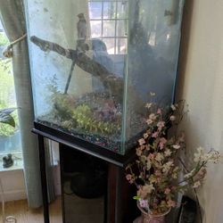 Free 47 gallon Fish Tank