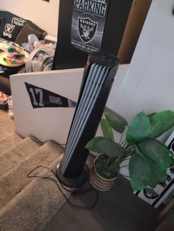Fan