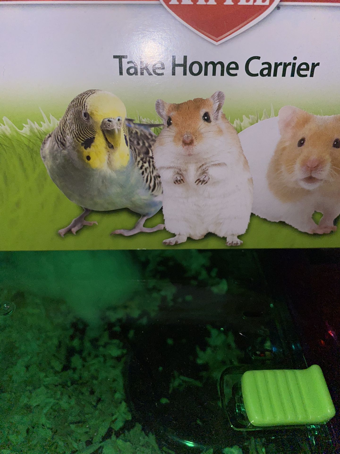Hamster cage free