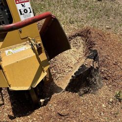Stump Grinding 