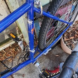 Specialized Rockhopper 