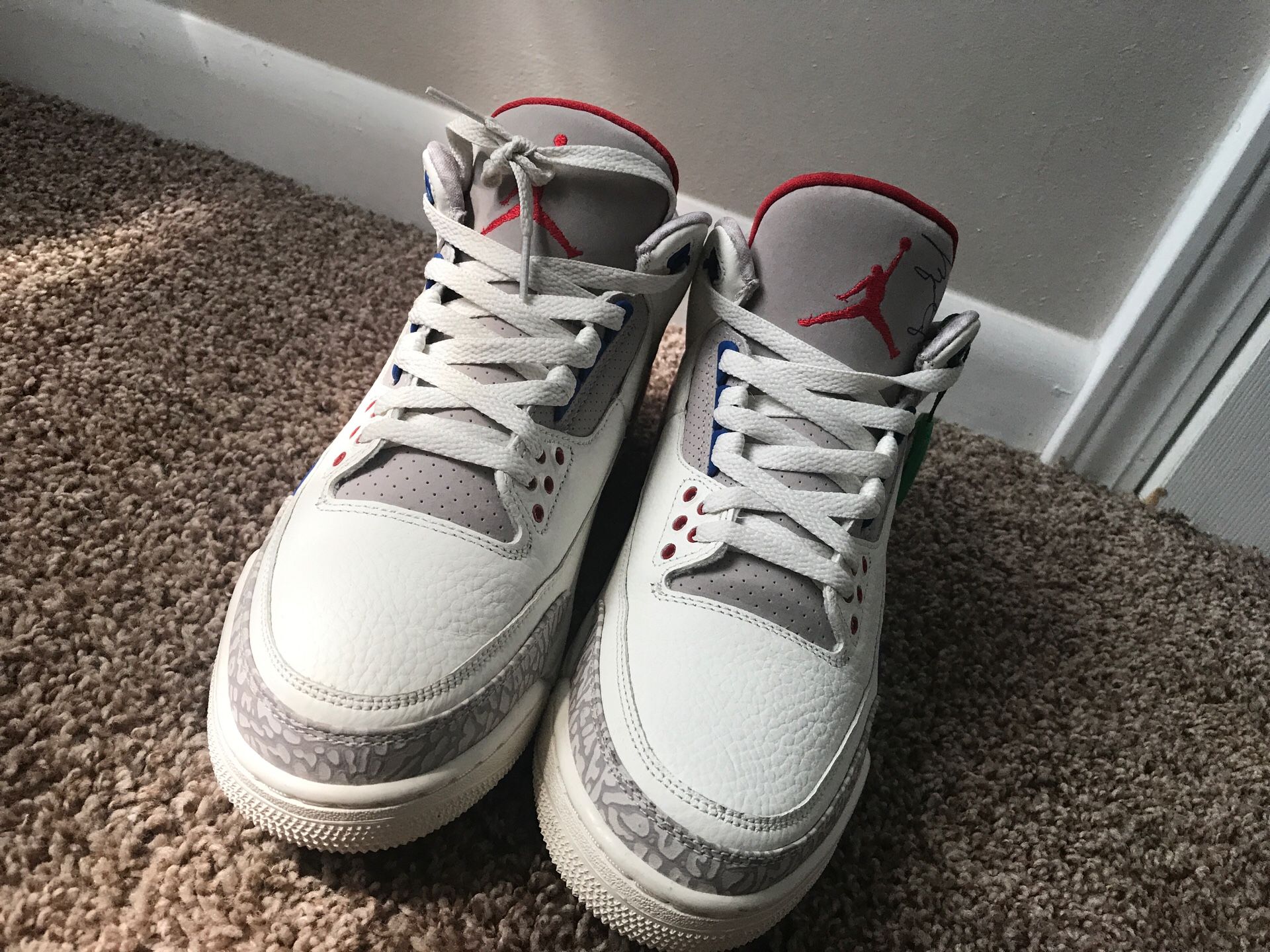 Jordan Concord 11 (9.5) And Jordan 3 International Flight (10)